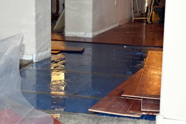 Professional Sewage Cleanup technician working in Battle Ground, IN